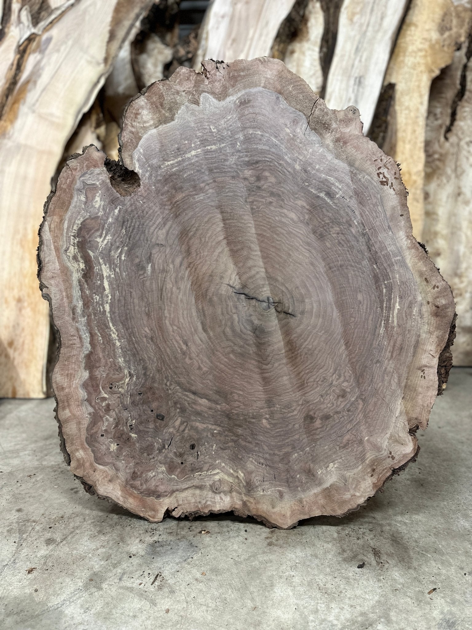 LiveEdge Black Walnut Cookie | Black Walnut | Hamilton Lee Supply