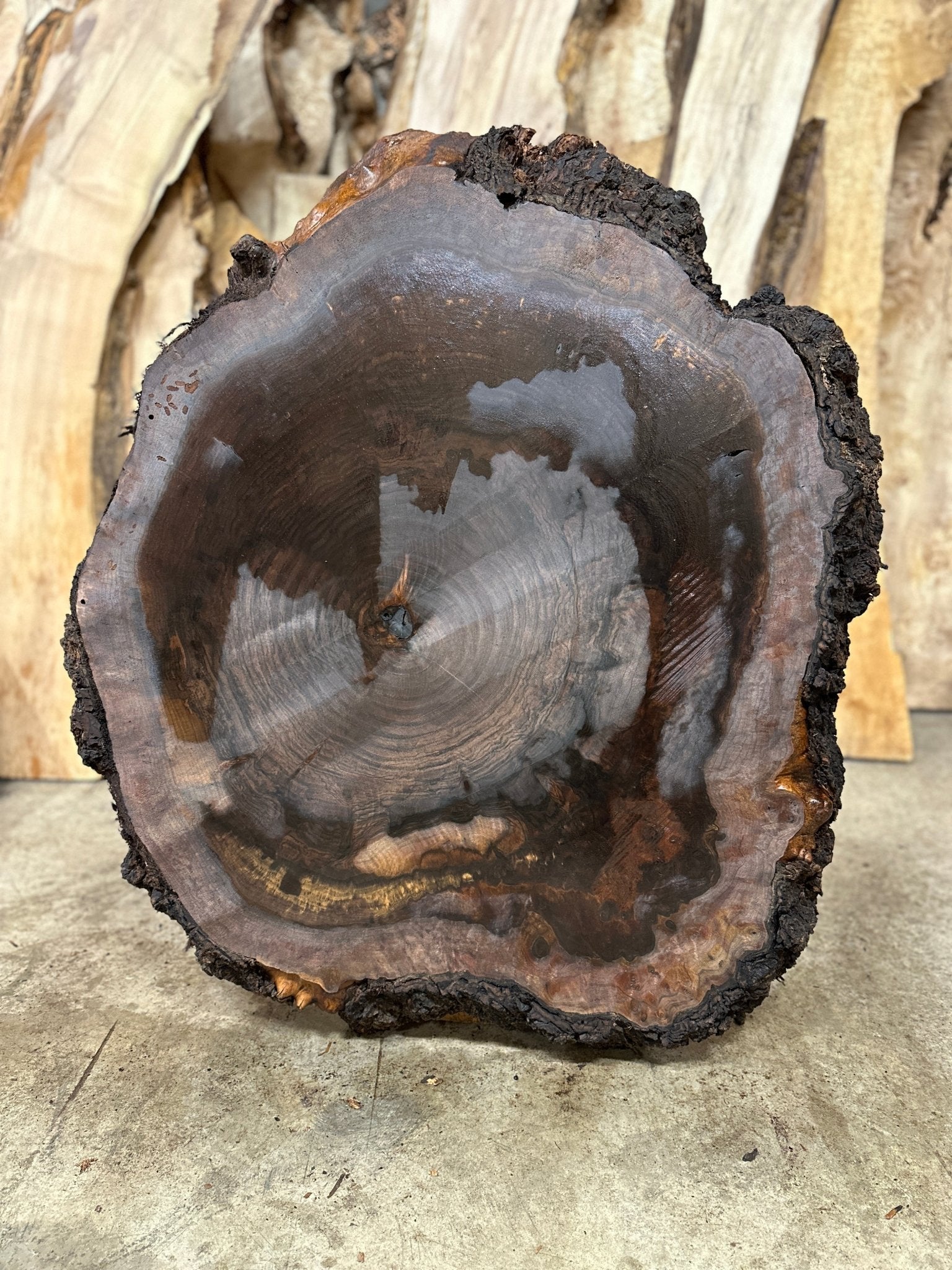 LiveEdge Black Walnut Cookie | Black Walnut | Hamilton Lee Supply