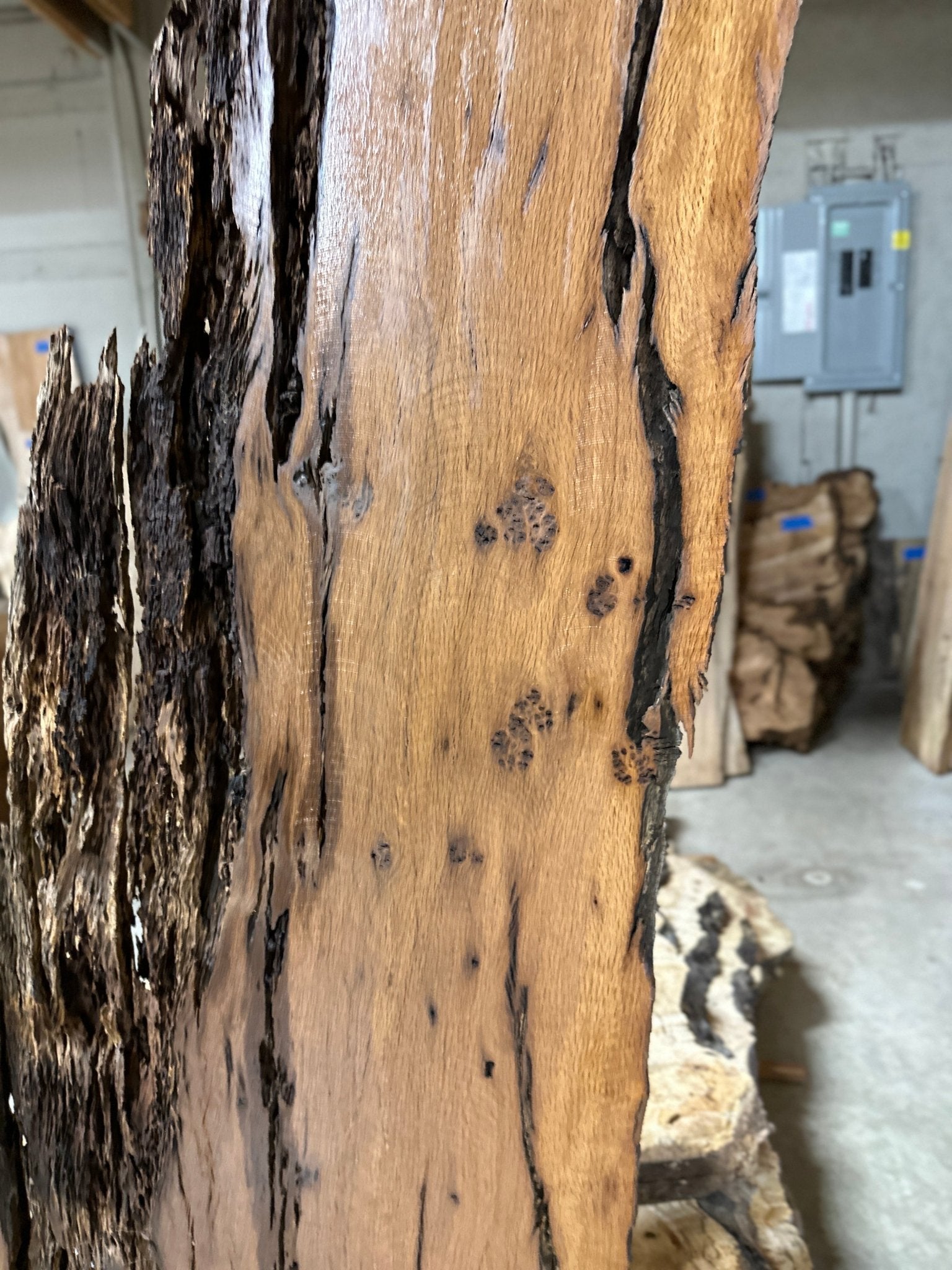 LiveEdge Dead Oak | Dead Oak | Hamilton Lee Supply