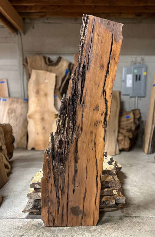 Hamilton Lee Supply - LiveEdge Dead Oak - Hamilton Lee Supply