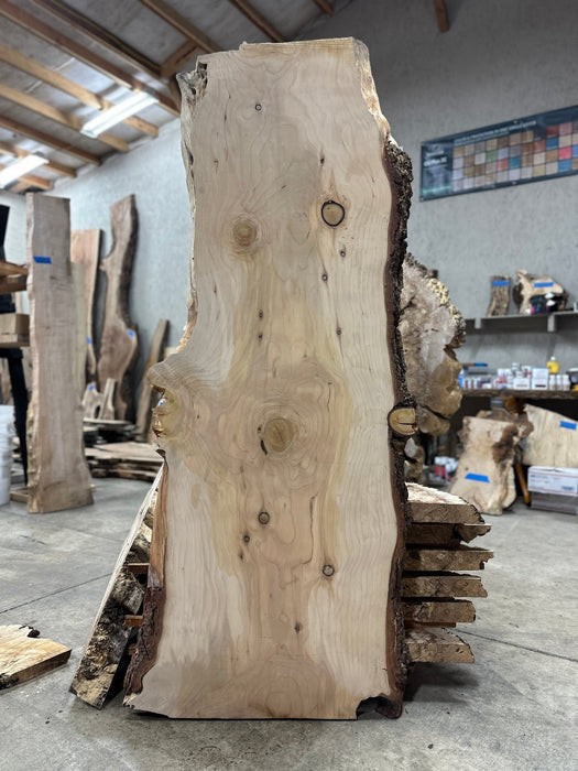 Coastal Woodworks | LiveEdge Deodar Cedar | Deodar Cedar | Hamilton Lee Supply