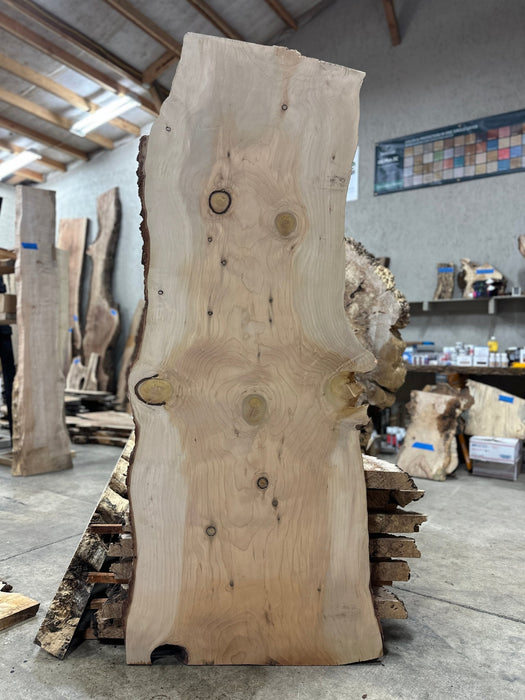 Coastal Woodworks | LiveEdge Deodar Cedar | Deodar Cedar | Hamilton Lee Supply