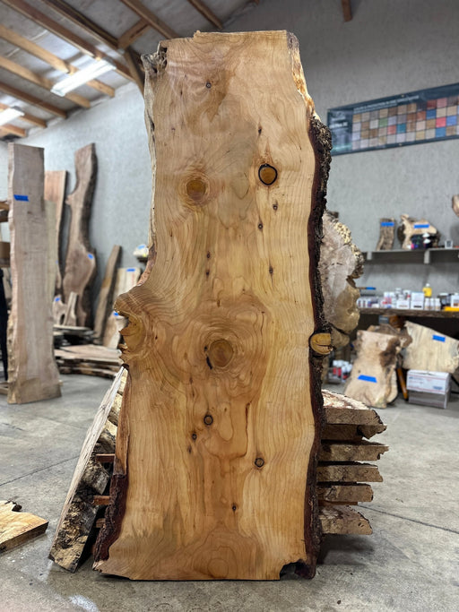 Coastal Woodworks - LiveEdge Deodar Cedar - Hamilton Lee Supply