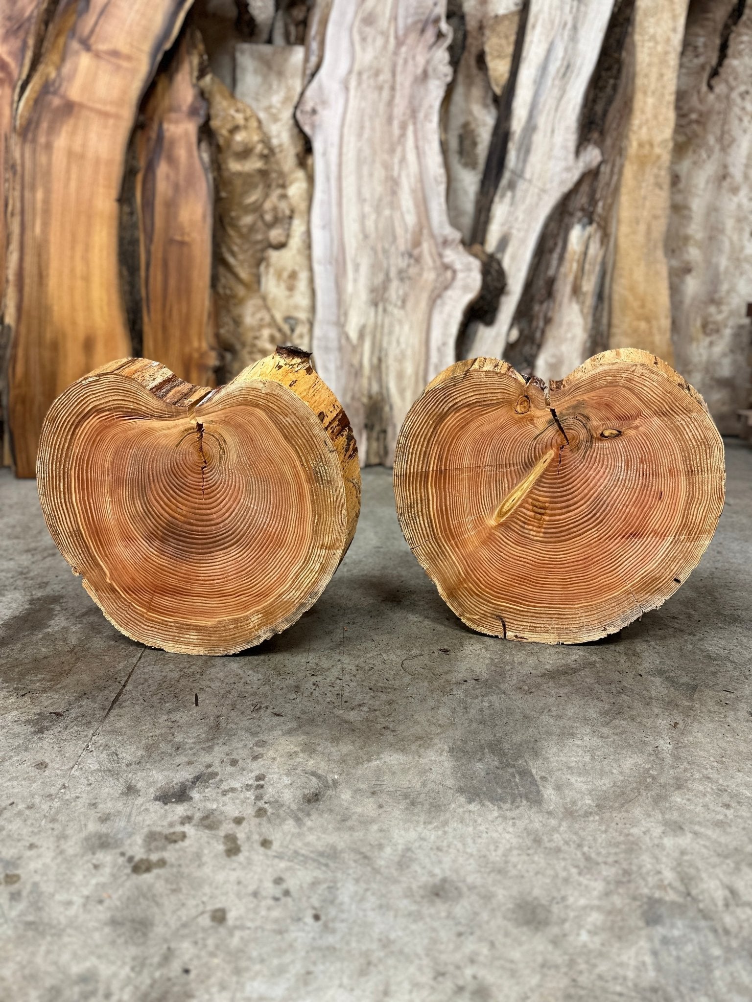 LiveEdge Douglas Fir Cookie | Single | Douglas Fir | Hamilton Lee Supply