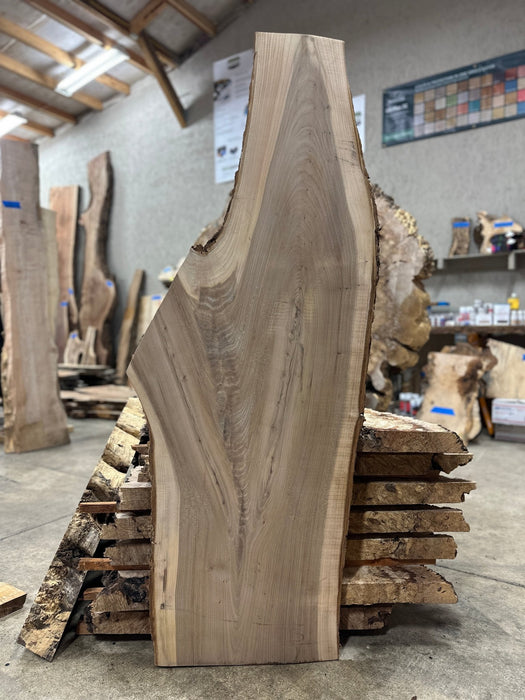 Coastal Woodworks | LiveEdge Elm | Elm | Hamilton Lee Supply