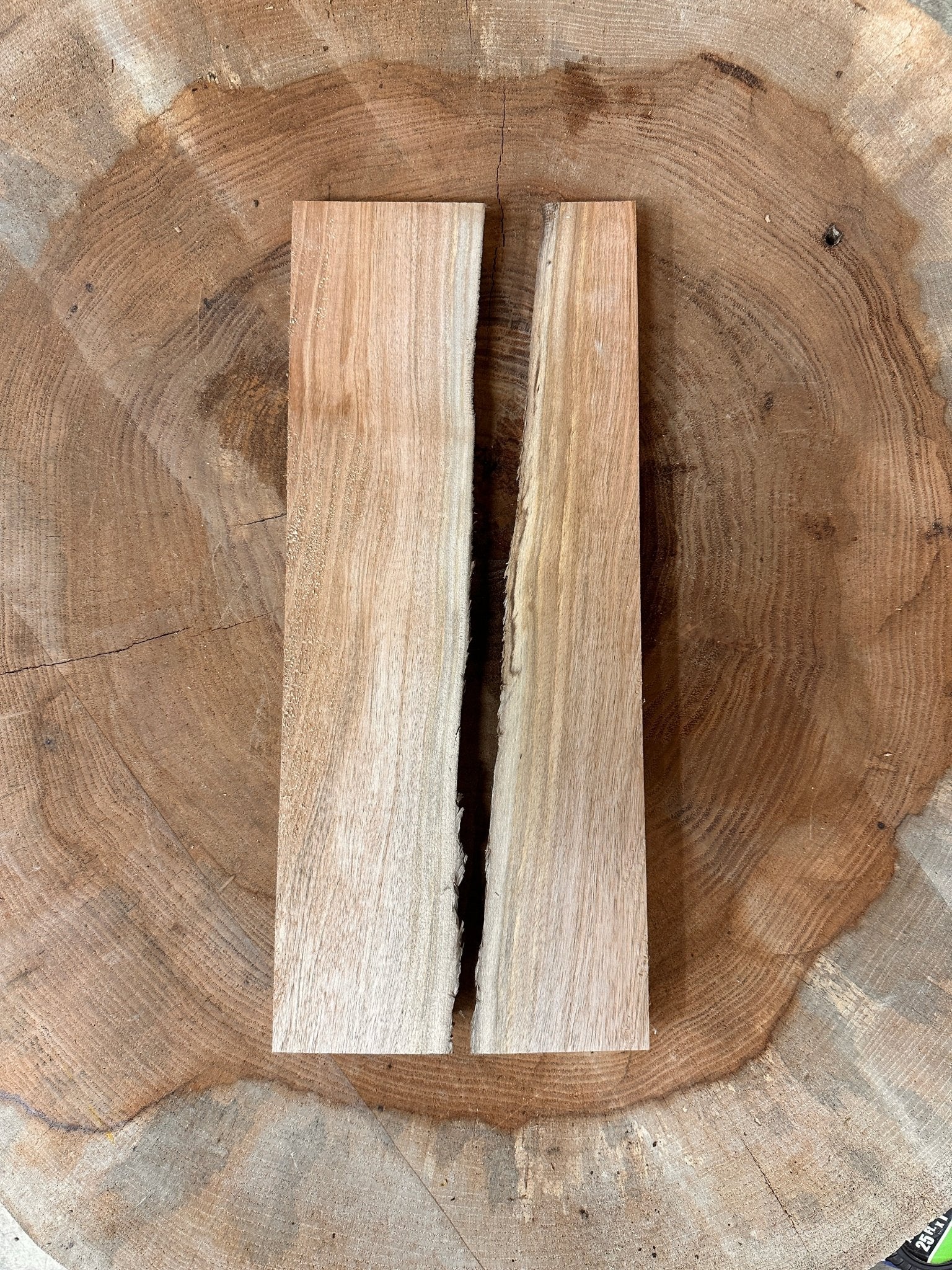 LiveEdge Elm Coaster Blank | Elm | Hamilton Lee Supply