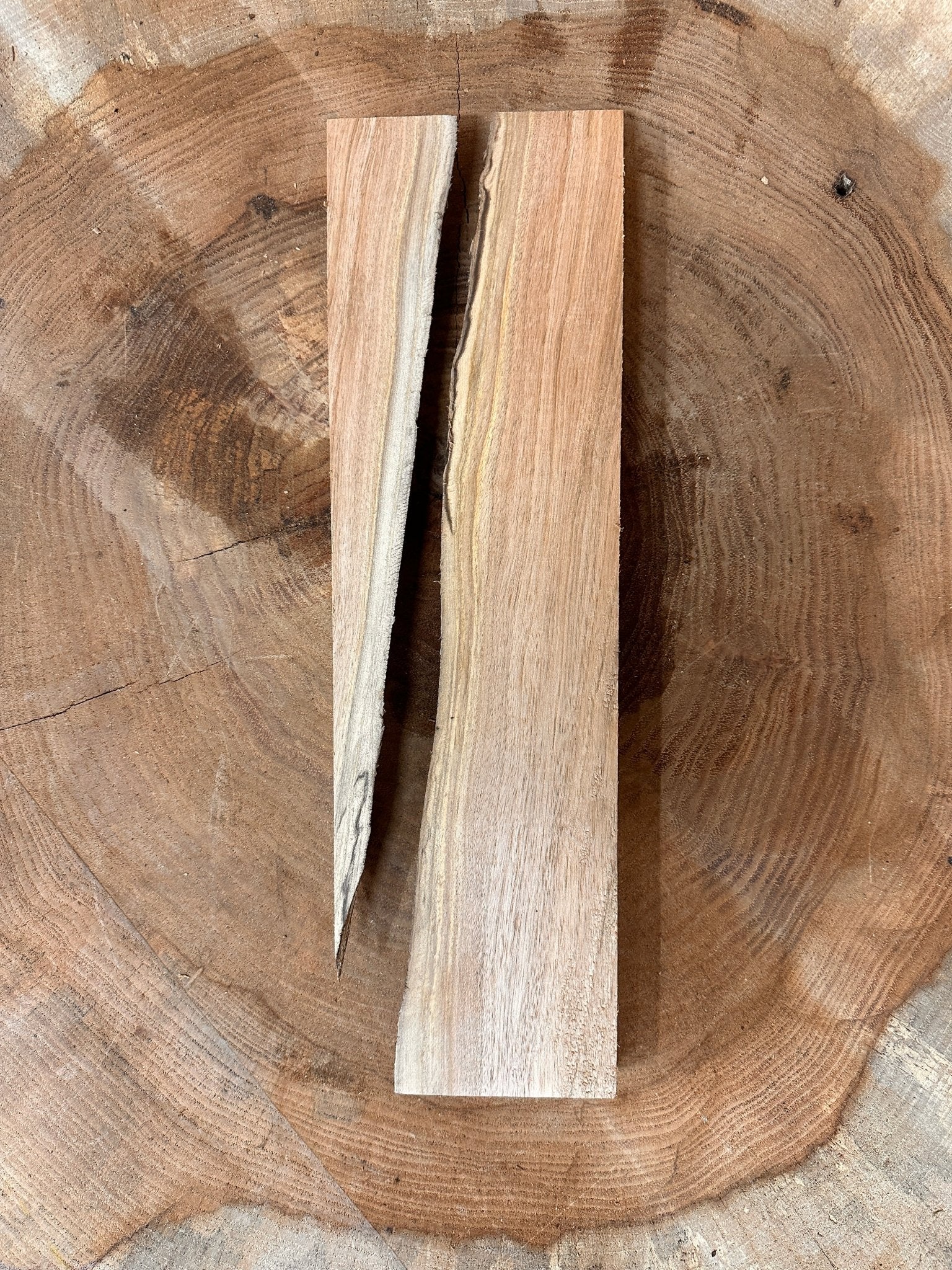 LiveEdge Elm Coaster Blank | Elm | Hamilton Lee Supply