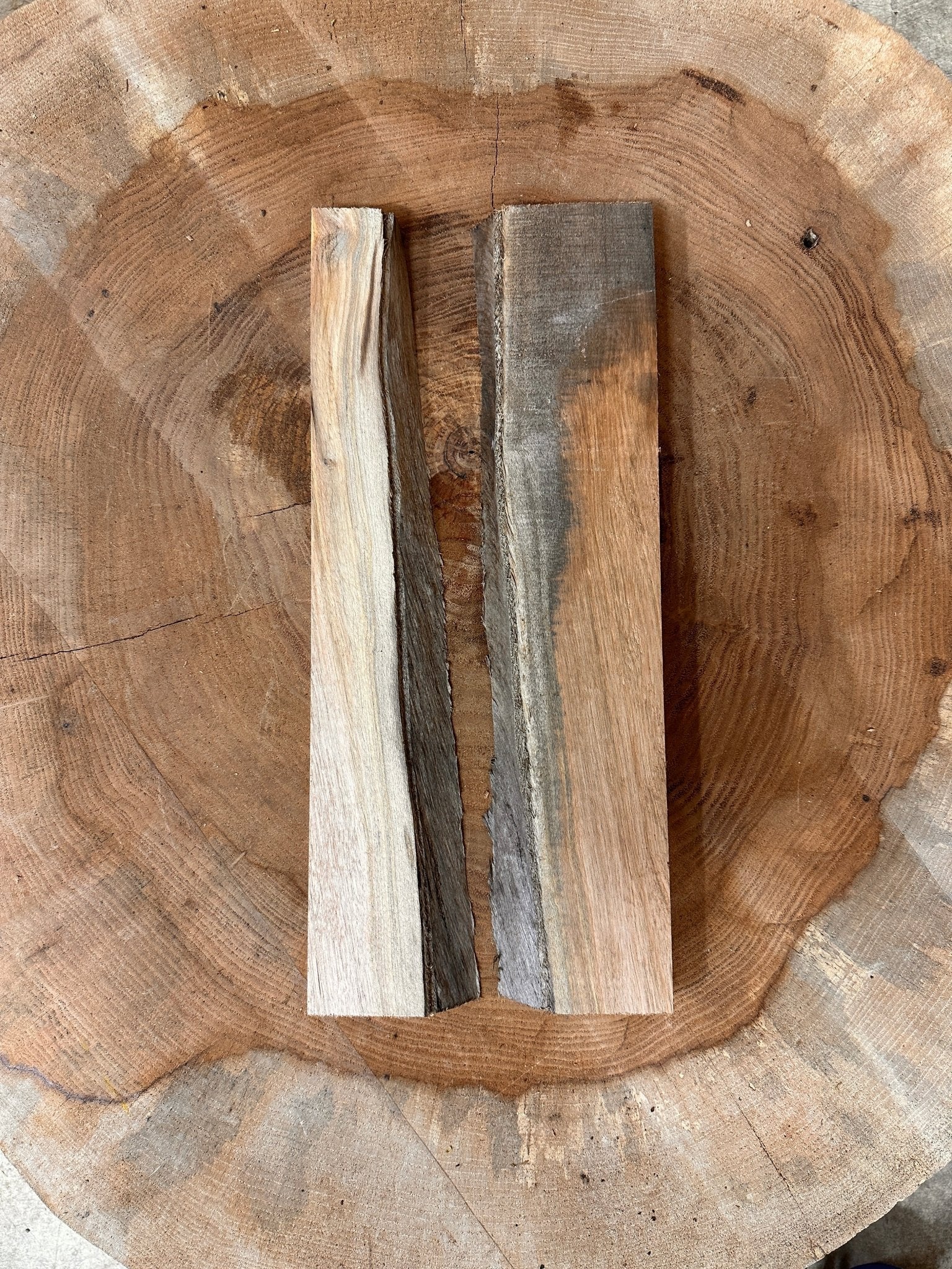 LiveEdge Elm Coaster Blank | Elm | Hamilton Lee Supply