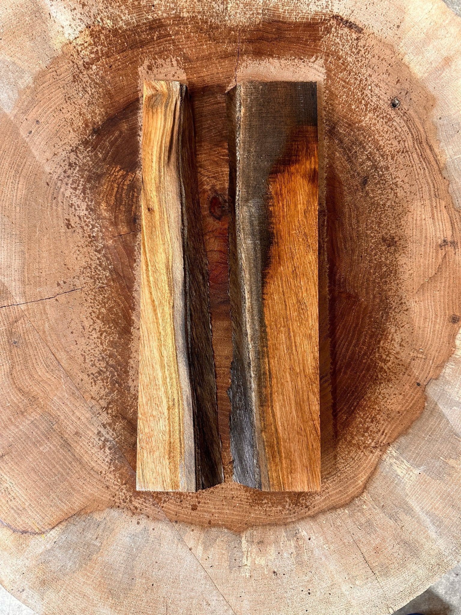 LiveEdge Elm Coaster Blank | Elm | Hamilton Lee Supply