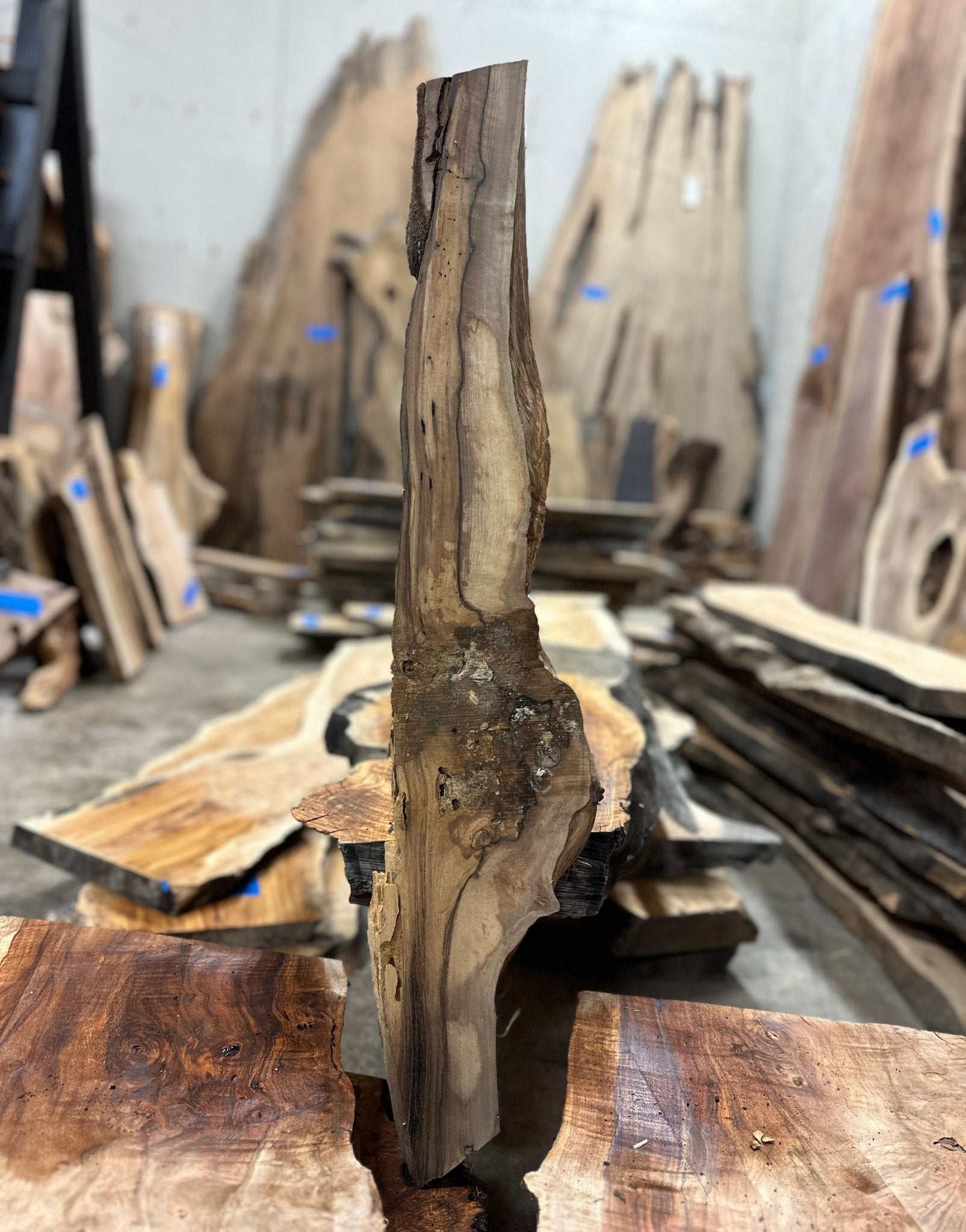 LiveEdge English Walnut | English Walnut | Hamilton Lee Supply