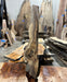 Crazy Grain | LiveEdge English Walnut | English Walnut | Hamilton Lee Supply