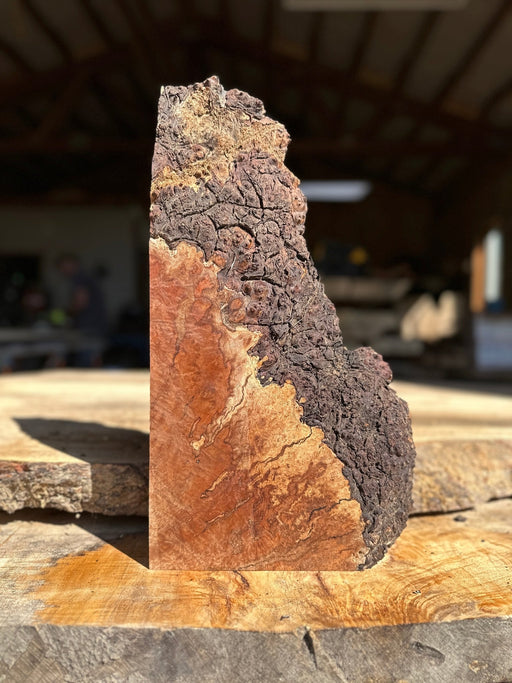 RedFalcon - LiveEdge Madrone - Hamilton Lee Supply