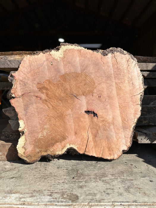 RedFalcon | LiveEdge Madrone | Madrone | Hamilton Lee Supply