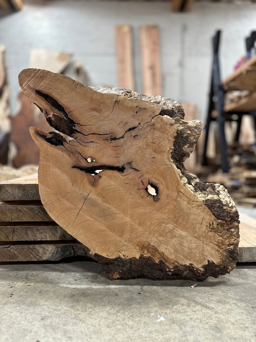 RedFalcon | LiveEdge Madrone Burl | Madrone Burl | Hamilton Lee Supply