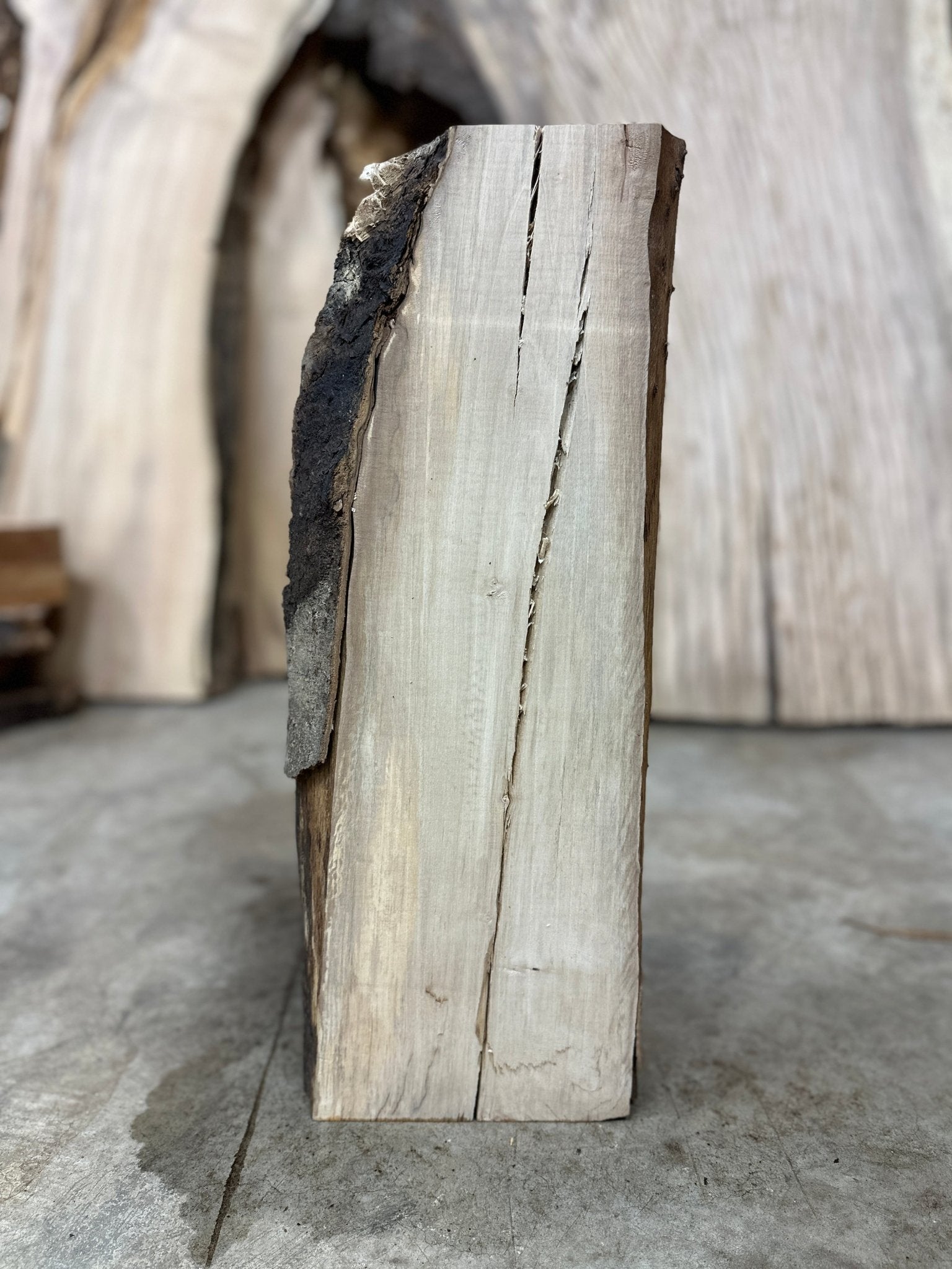 LiveEdge Maple | Maple | Hamilton Lee Supply
