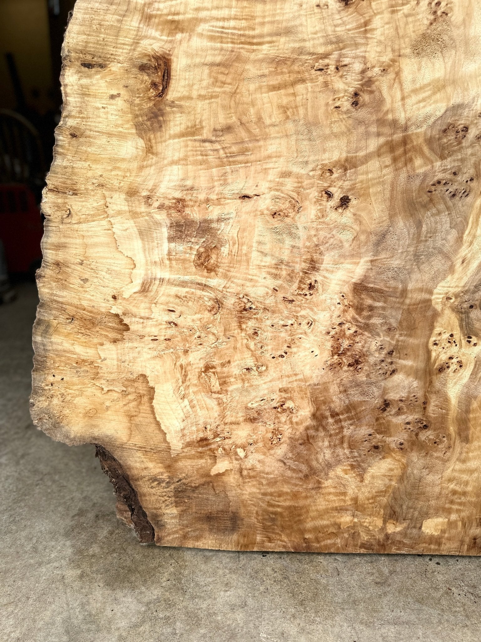 LiveEdge Mappa Burl | Mappa Burl | Hamilton Lee Supply