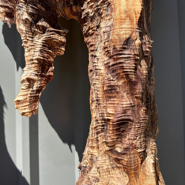 Double Diamond | LiveEdge Mappa Burl | Mappa Burl | Hamilton Lee Supply