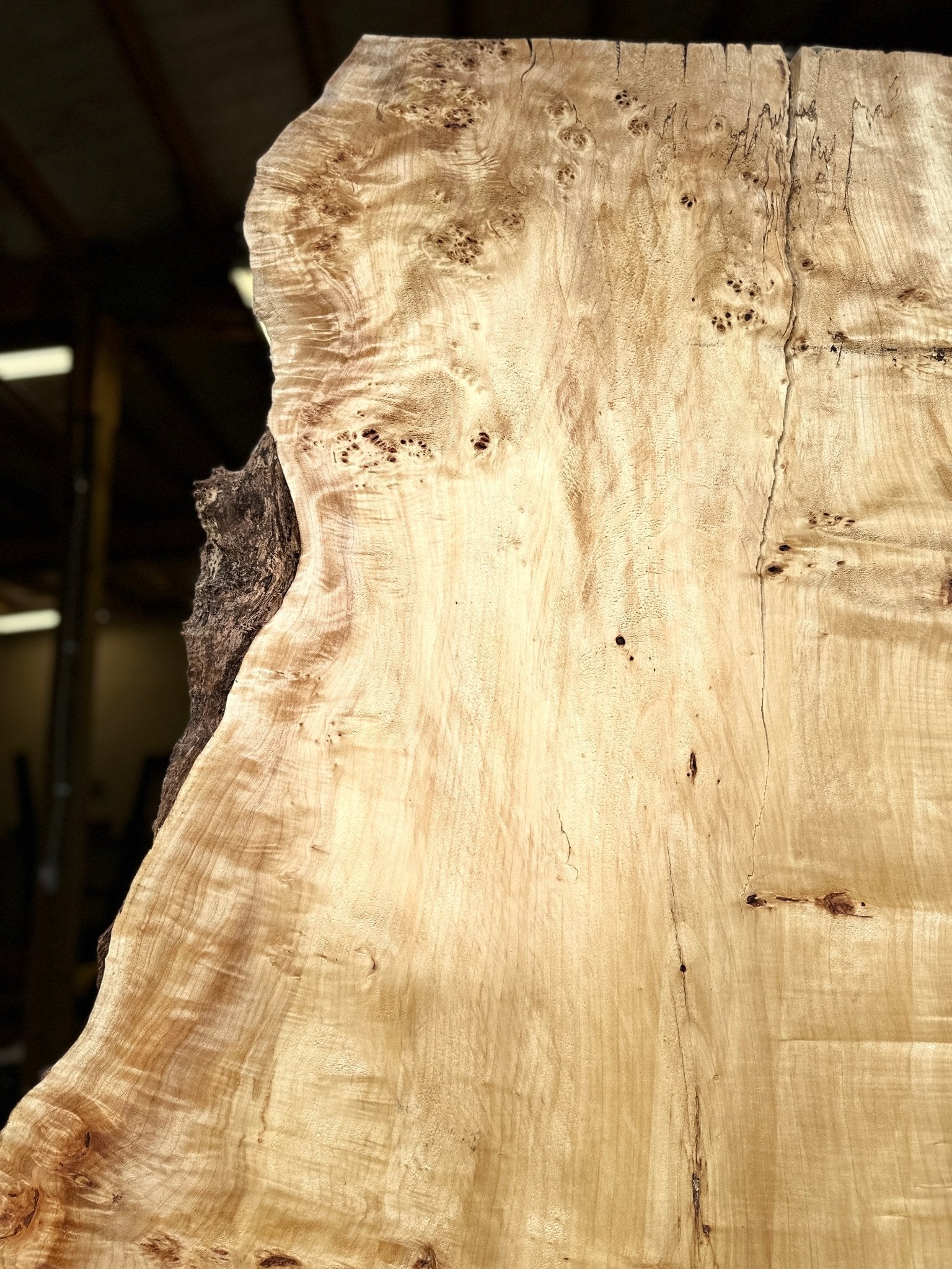 LiveEdge Mappa Burl | Mappa Burl | Hamilton Lee Supply