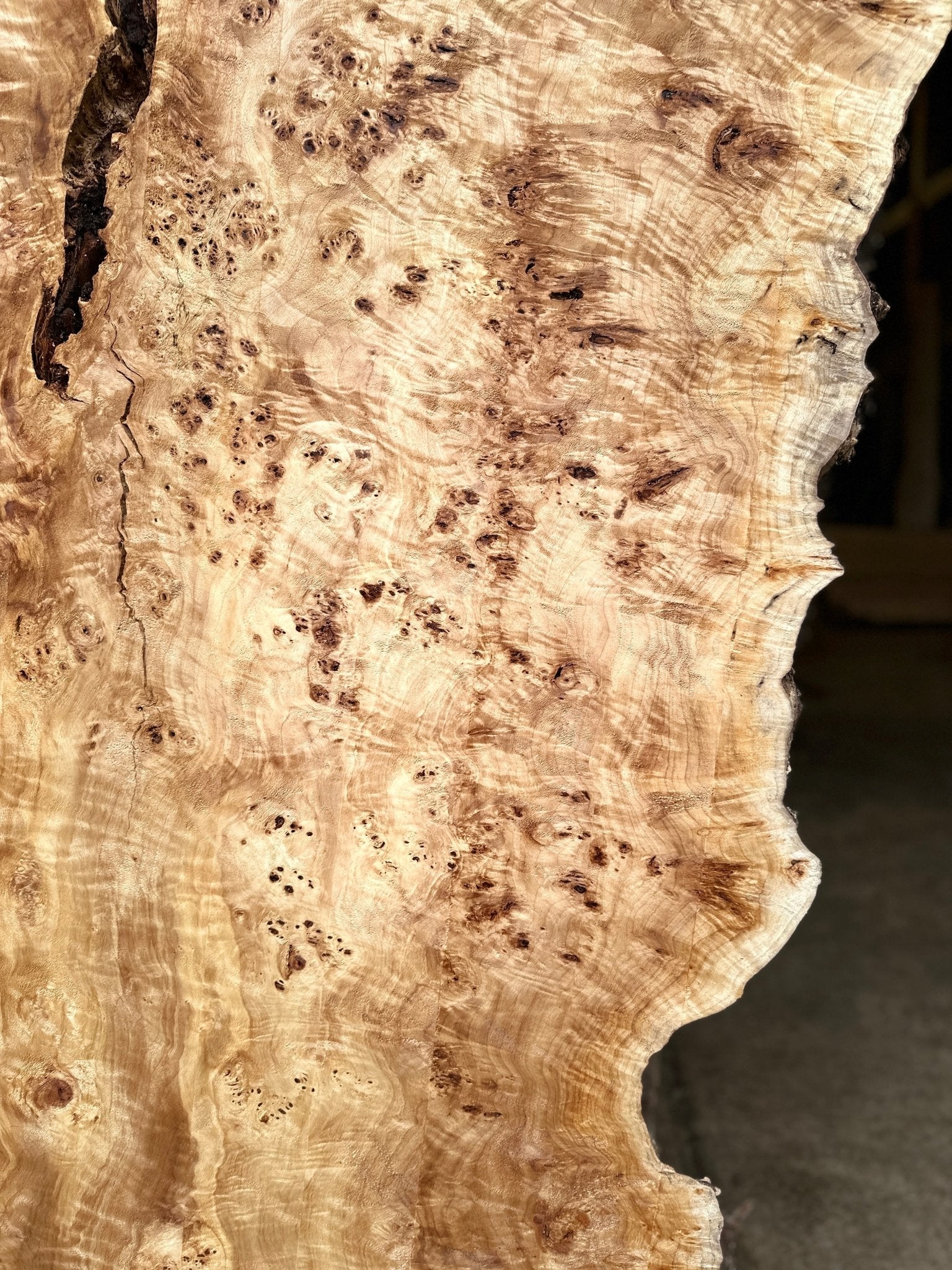 LiveEdge Mappa Burl | Mappa Burl | Hamilton Lee Supply