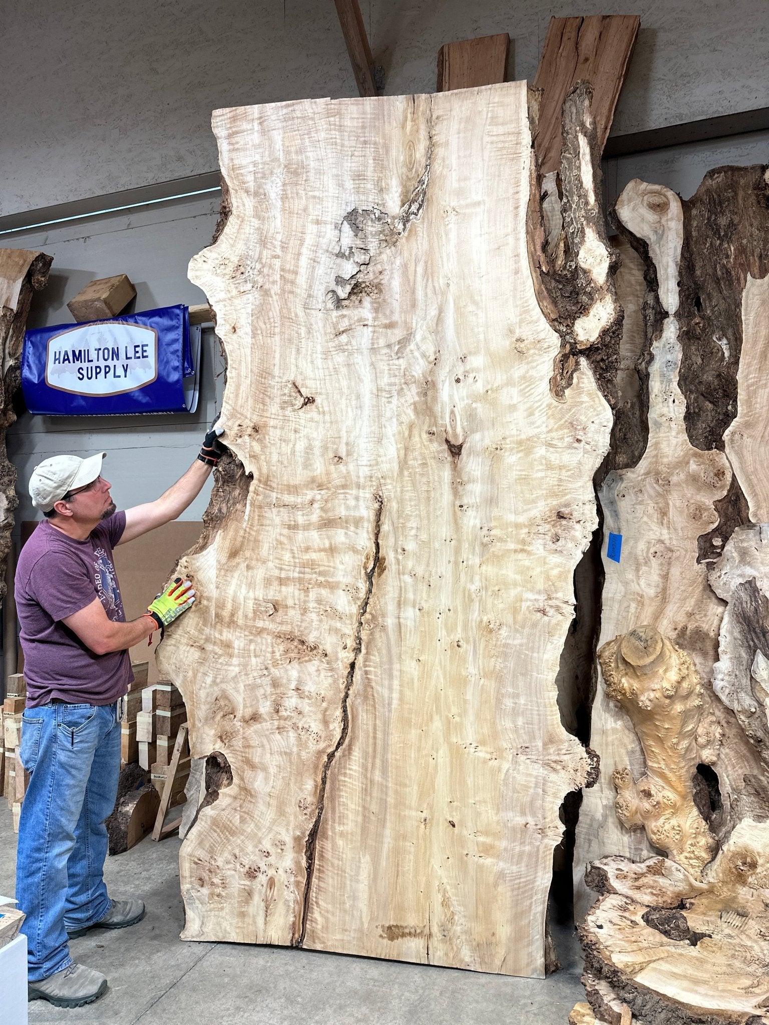 LiveEdge Mappa Burl | Mappa Burl | Hamilton Lee Supply