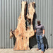 Double Diamond | LiveEdge Mappa Burl | Mappa Burl | Hamilton Lee Supply