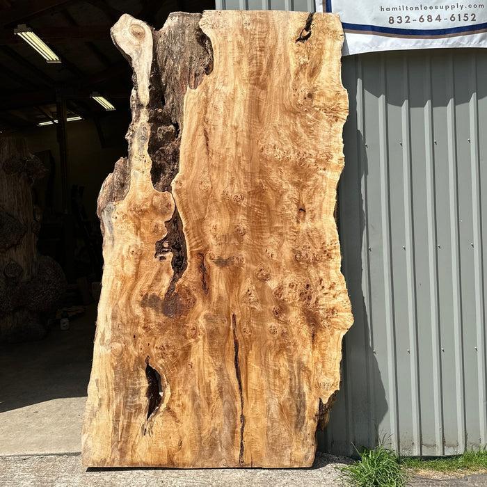 Double Diamond | LiveEdge Mappa Burl | Mappa Burl | Hamilton Lee Supply