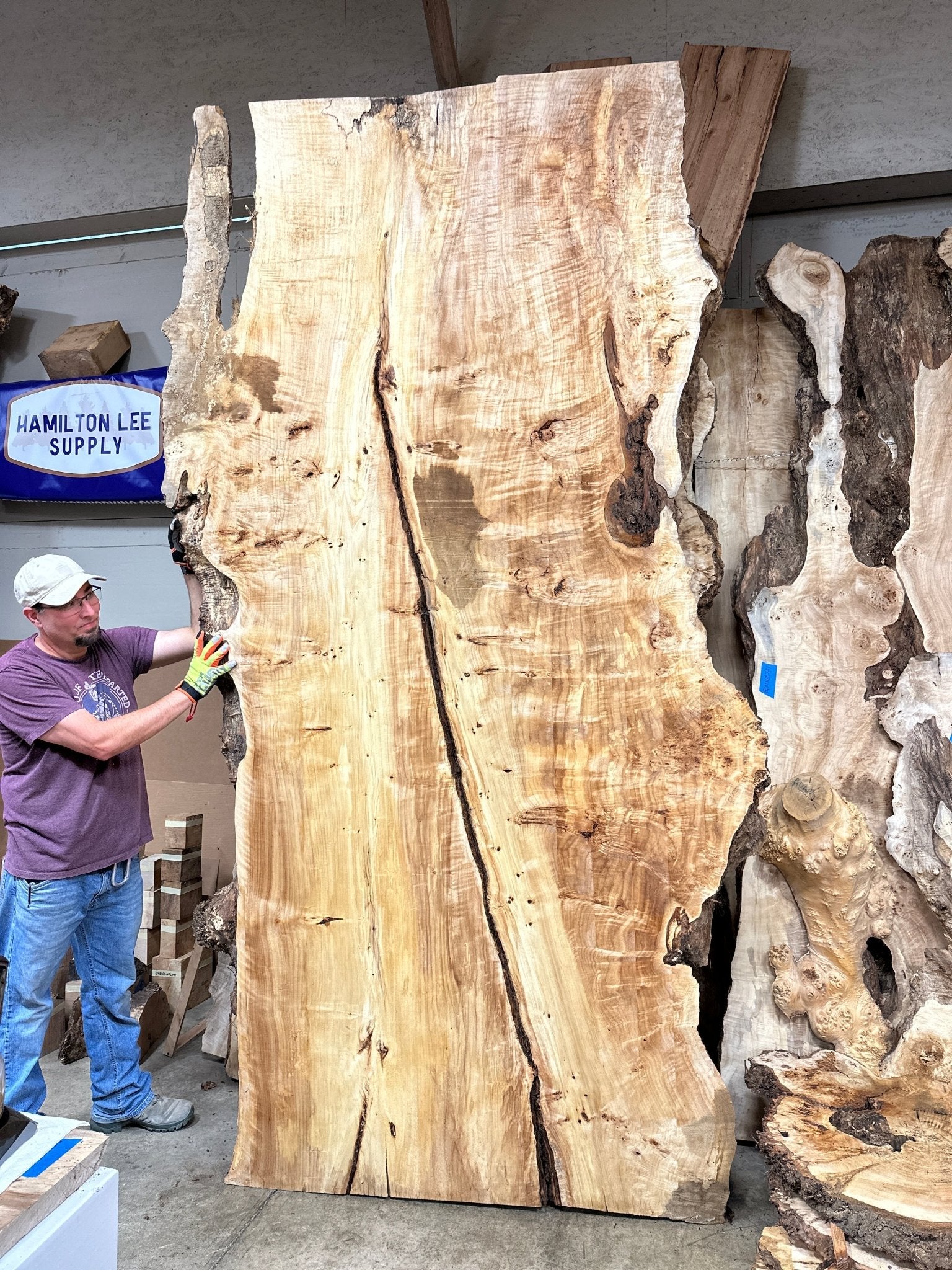 LiveEdge Mappa Burl | Mappa Burl | Hamilton Lee Supply