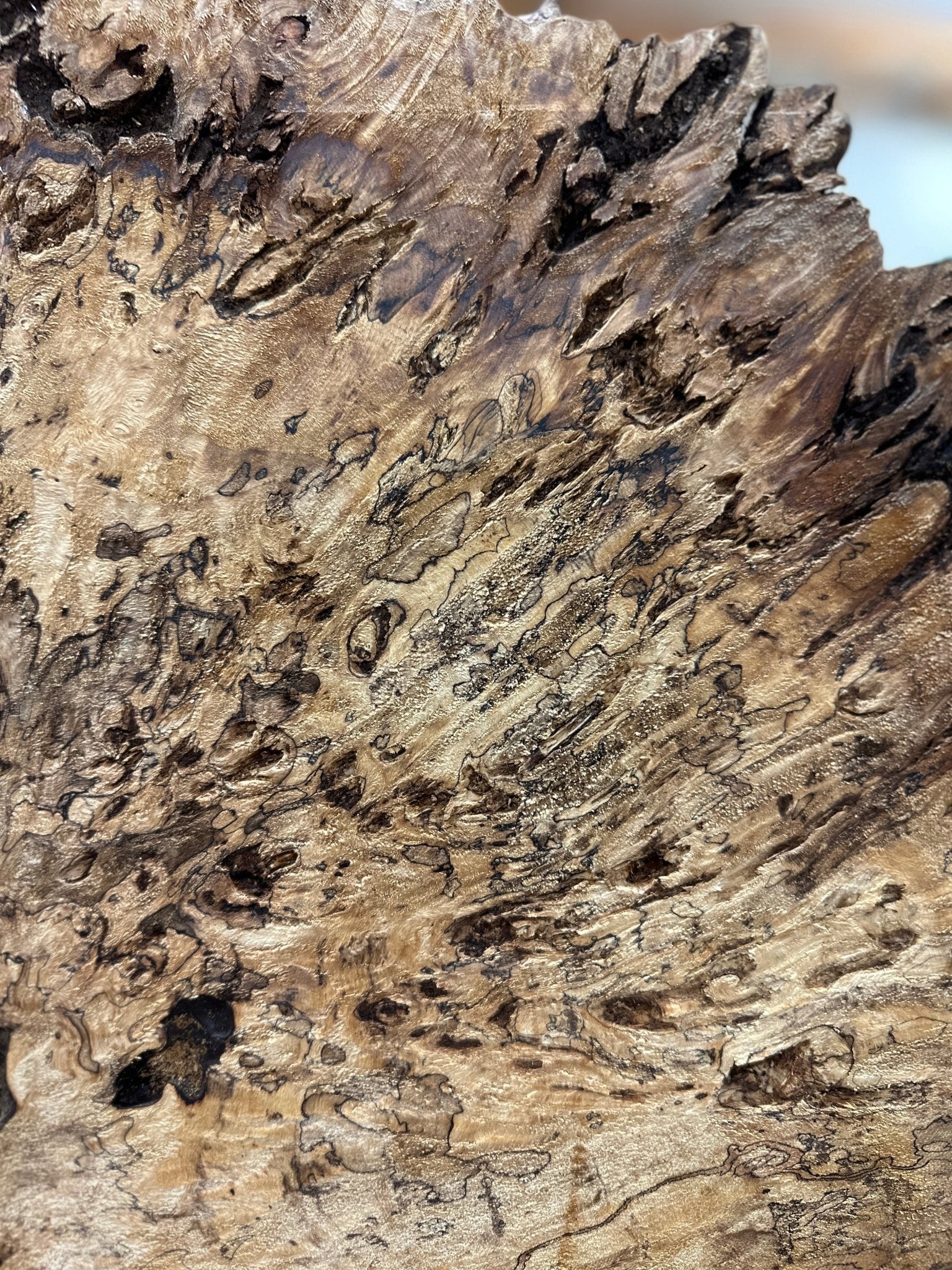 LiveEdge Mappa Burl Cookie | Mappa Burl | Hamilton Lee Supply