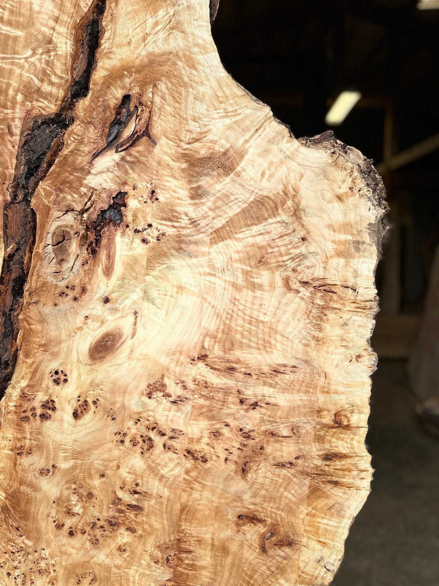 LiveEdge Mappa Burl | Mappa Burl | Hamilton Lee Supply