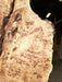 Double Diamond | LiveEdge Mappa Burl | Mappa Burl | Hamilton Lee Supply