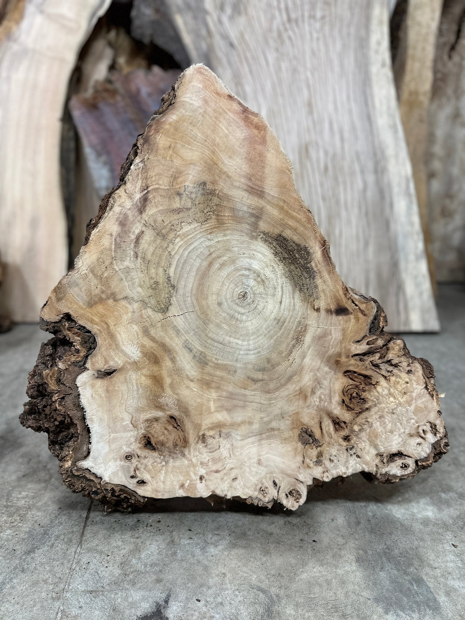LiveEdge Mappa Burl | Mappa Burl | Hamilton Lee Supply