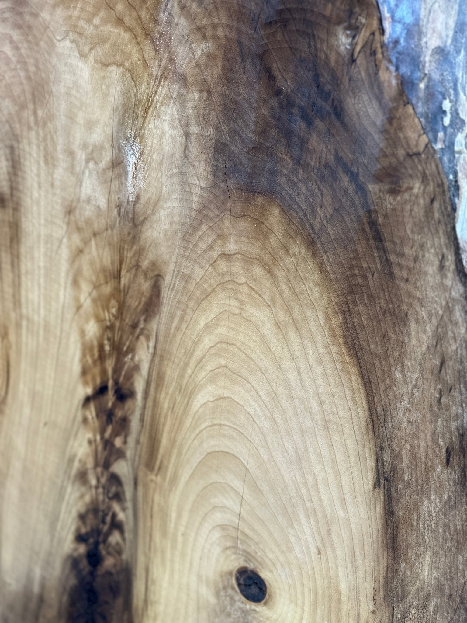 LiveEdge Myrtle | Myrtle | Hamilton Lee Supply