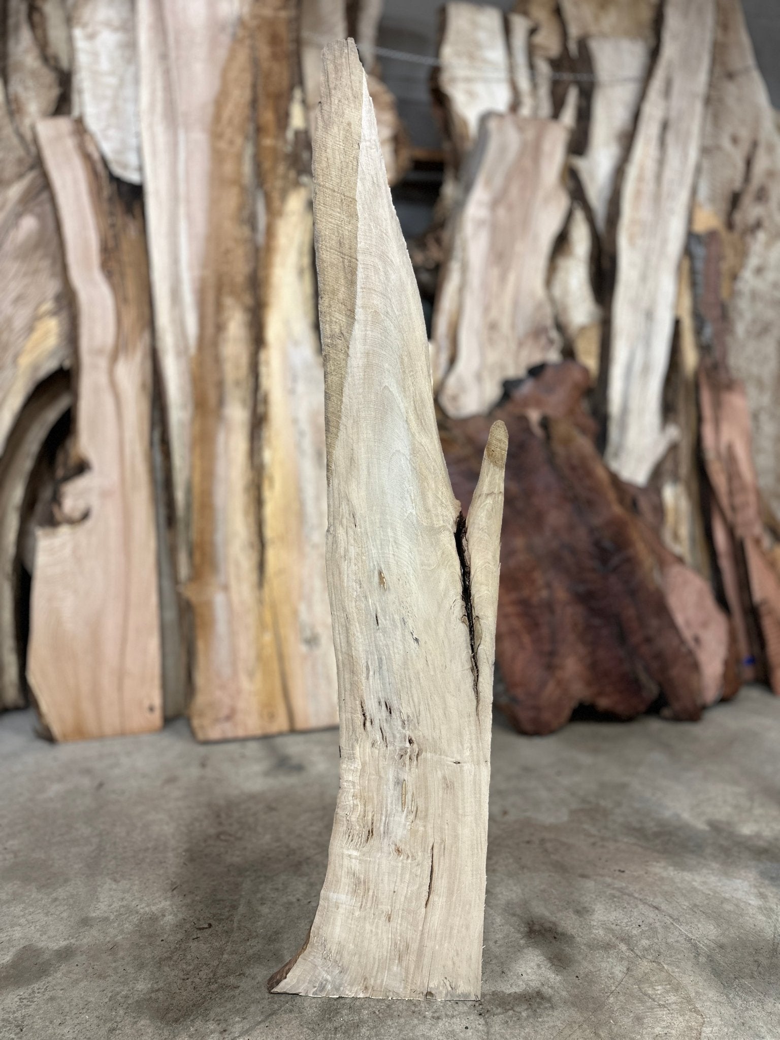 LiveEdge Myrtle | Myrtle | Hamilton Lee Supply