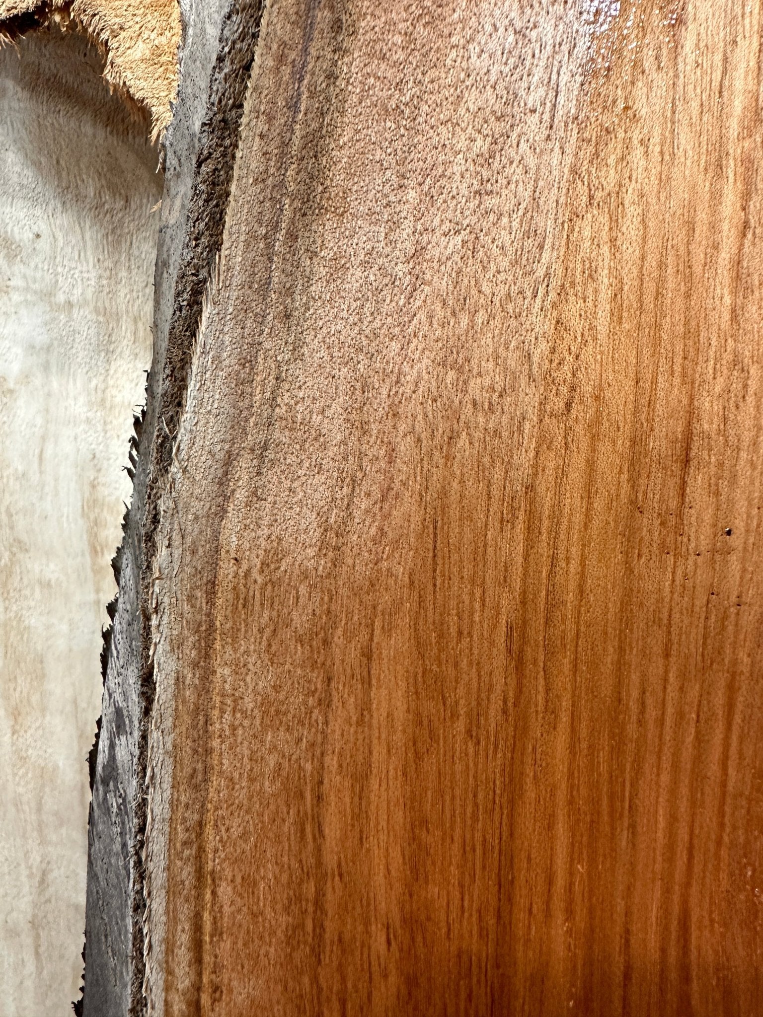 LiveEdge Mystery | Charcuterie Stock | Hamilton Lee Supply