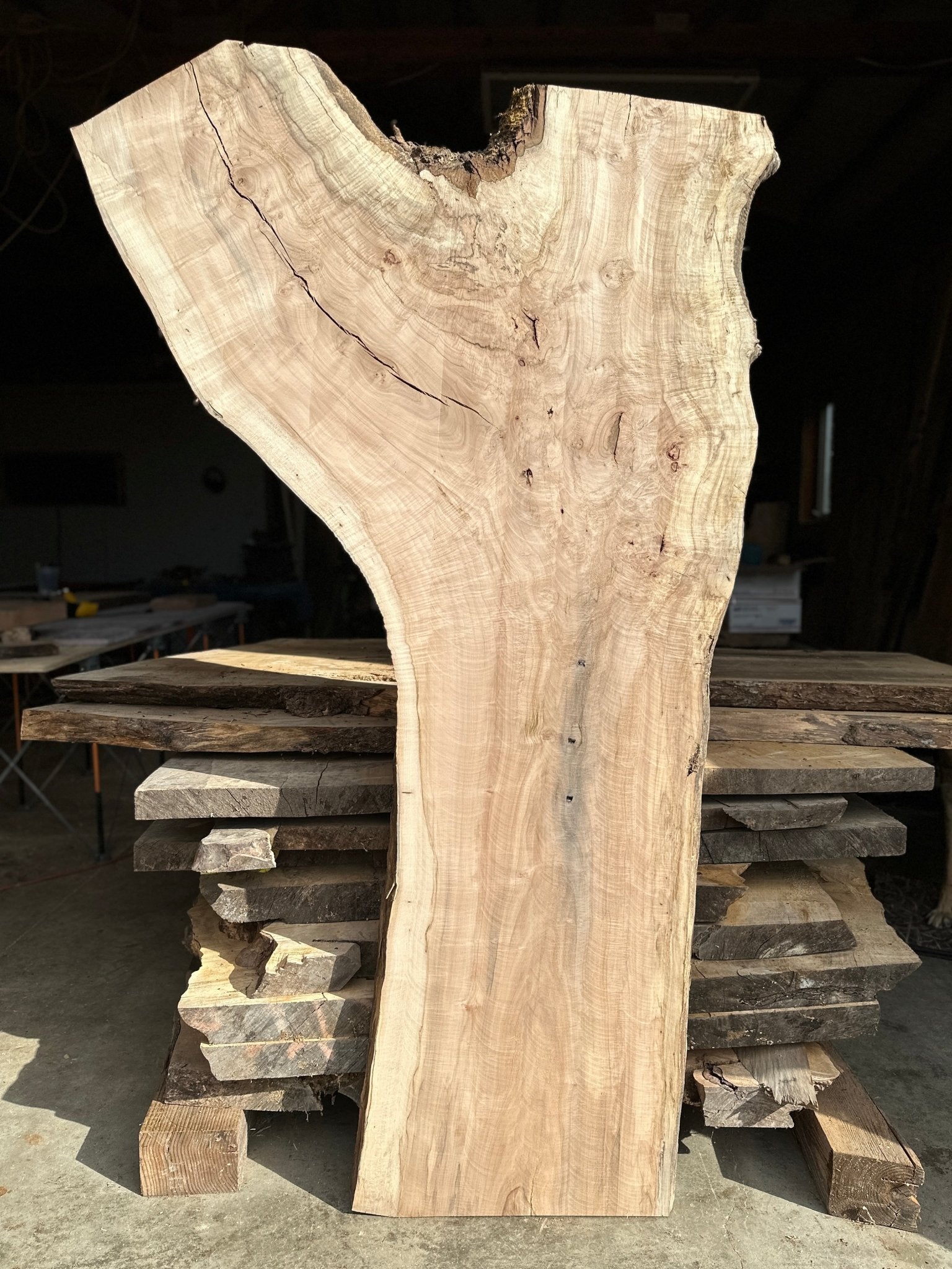 LiveEdge Norway Maple | Norway Maple | Hamilton Lee Supply