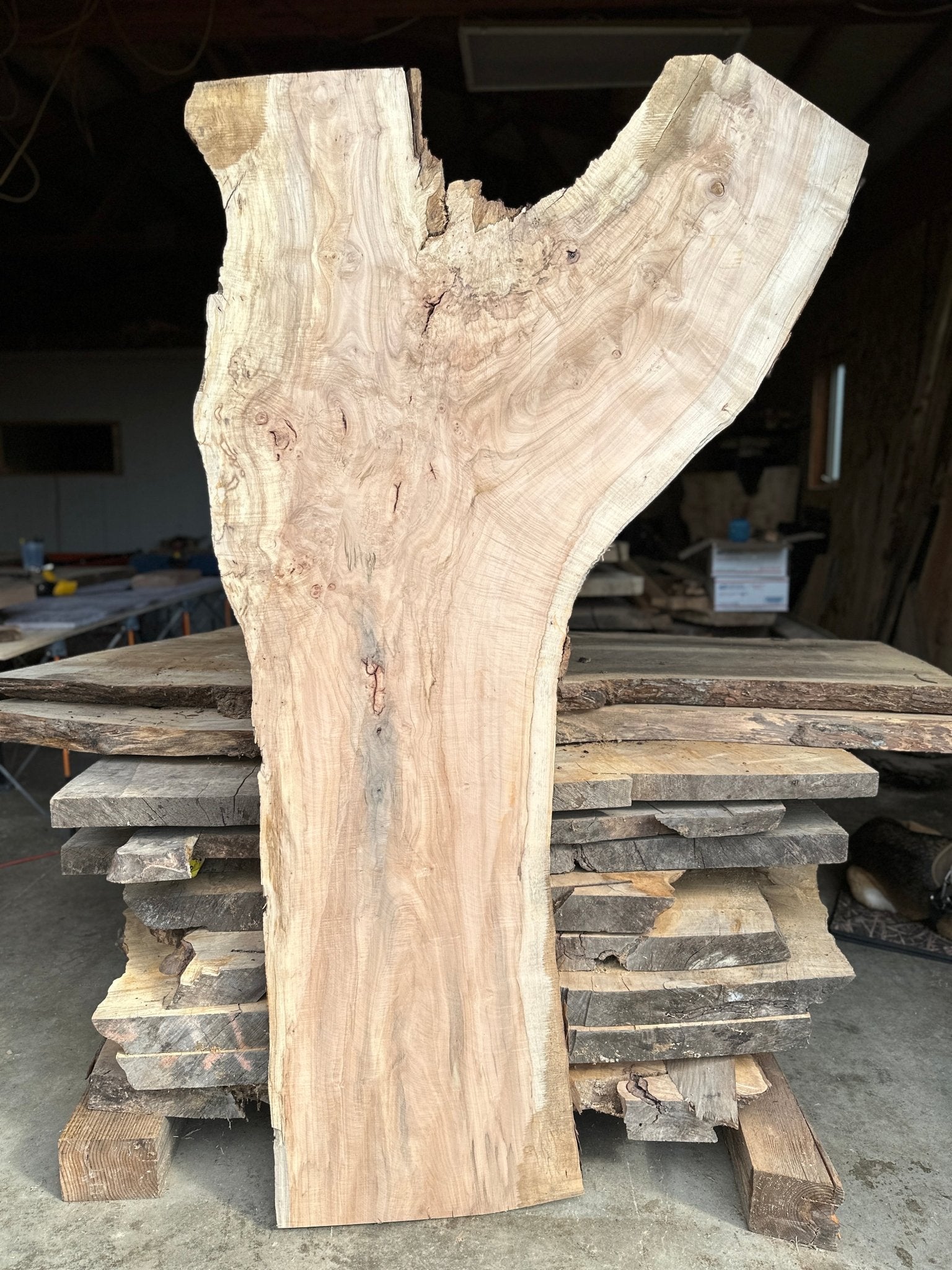 LiveEdge Norway Maple | Norway Maple | Hamilton Lee Supply