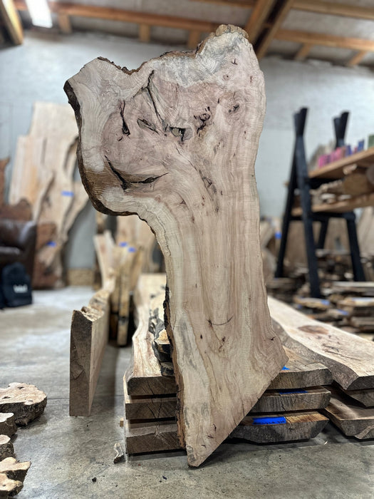 Double Diamond | LiveEdge Norway Maple | Norway Maple | Hamilton Lee Supply