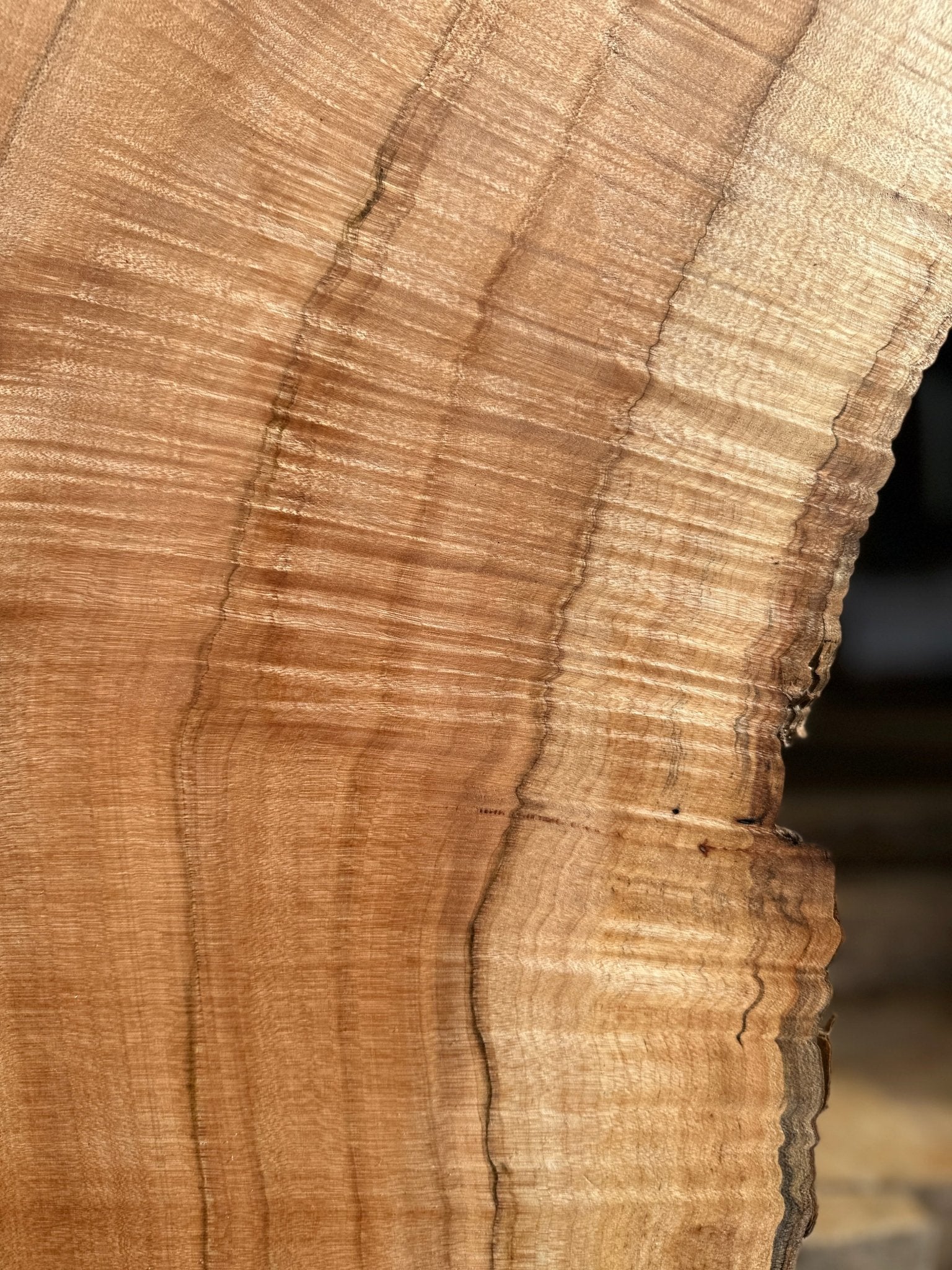 LiveEdge Norway Maple | Norway Maple | Hamilton Lee Supply