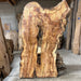 Double Diamond | LiveEdge Norway Maple | Norway Maple | Hamilton Lee Supply