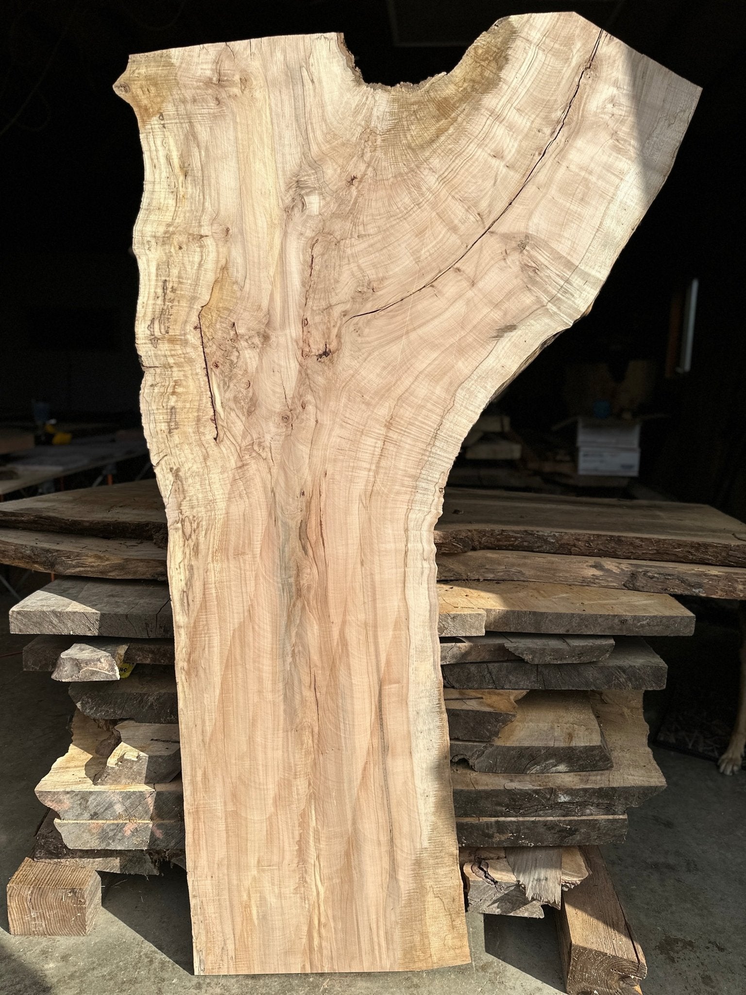LiveEdge Norway Maple | Norway Maple | Hamilton Lee Supply