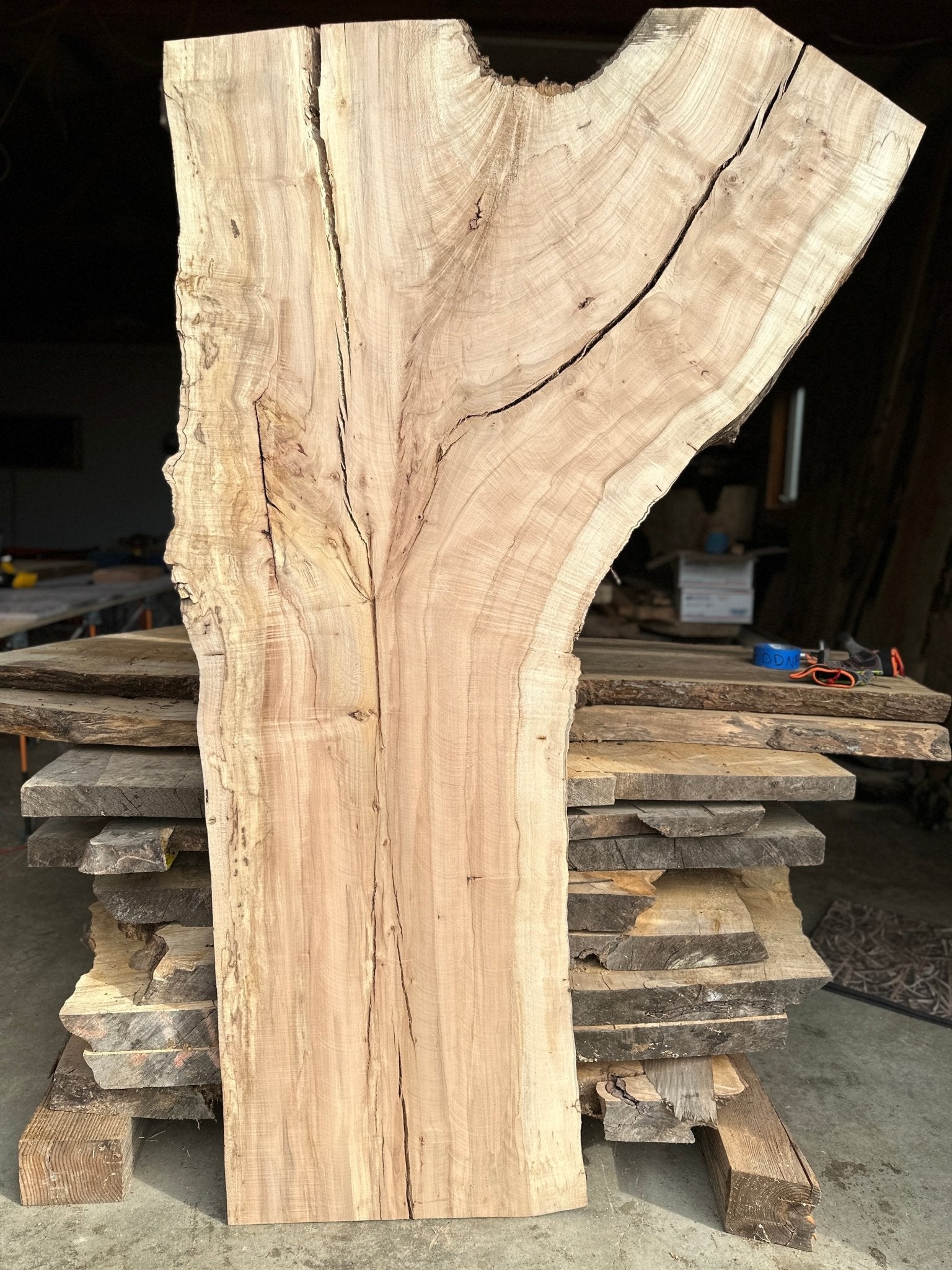 LiveEdge Norway Maple | Norway Maple | Hamilton Lee Supply