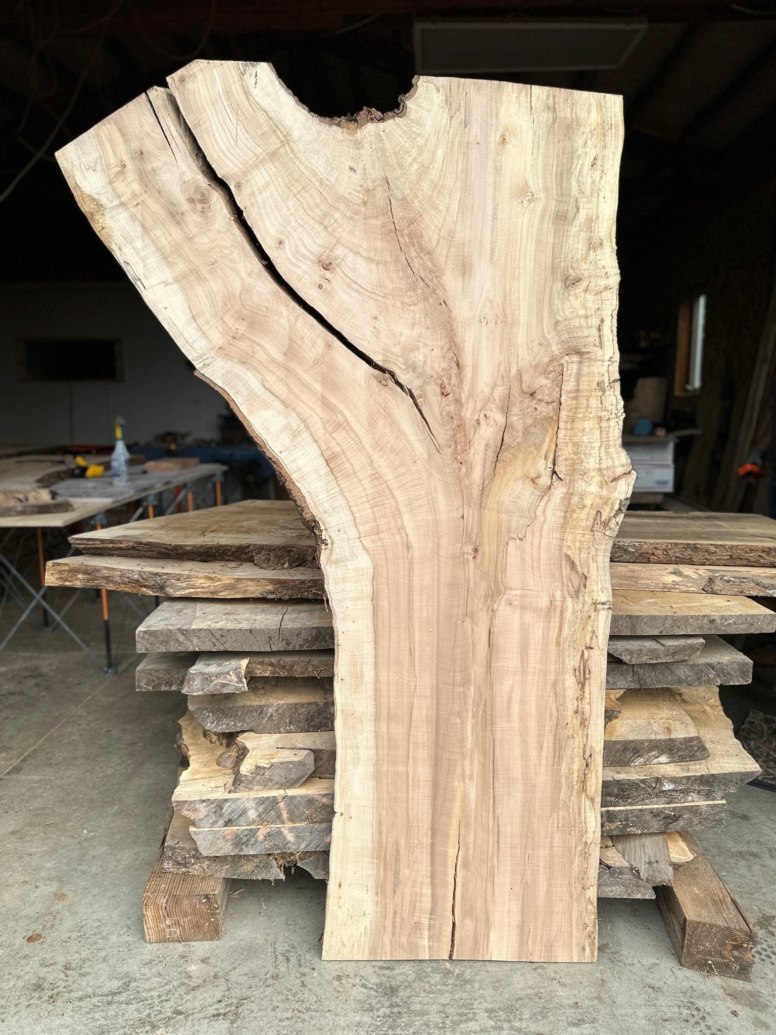LiveEdge Norway Maple | Norway Maple | Hamilton Lee Supply
