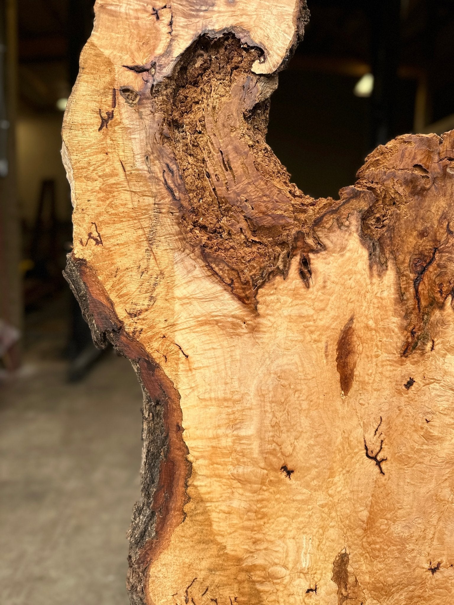 LiveEdge Norway Maple | Norway Maple | Hamilton Lee Supply