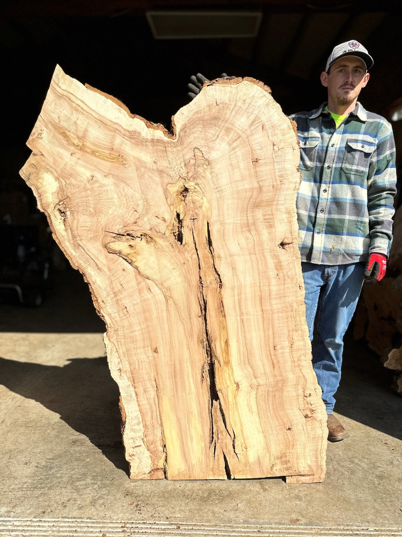 LiveEdge Norway Maple | Norway Maple | Hamilton Lee Supply