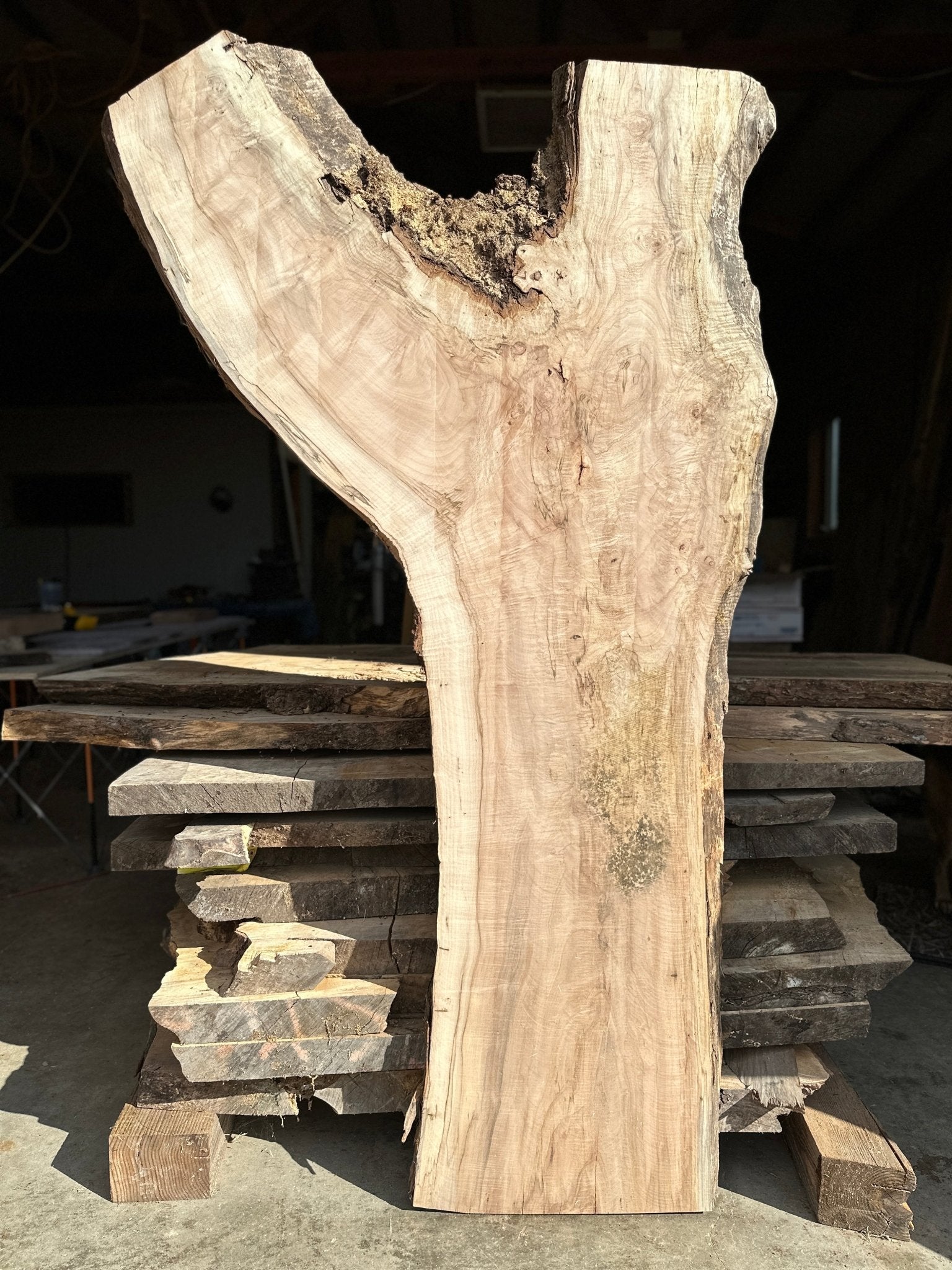 LiveEdge Norway Maple | Norway Maple | Hamilton Lee Supply