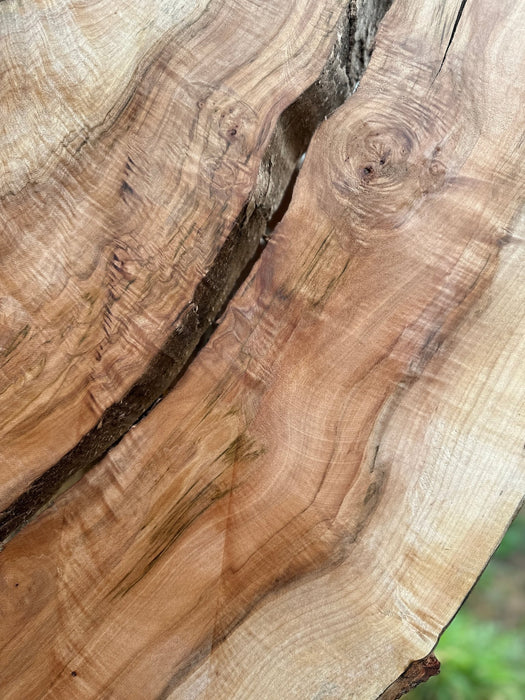 Double Diamond - LiveEdge Norway Maple - Hamilton Lee Supply