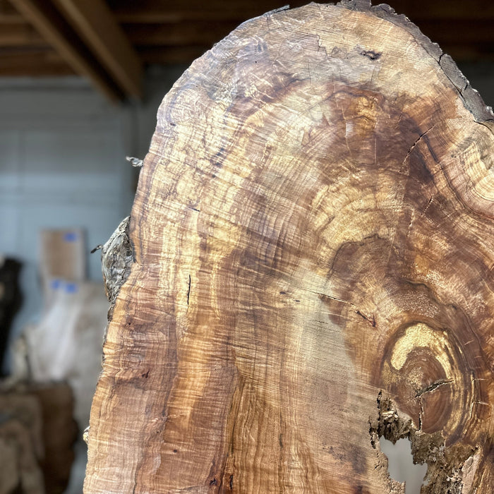 Double Diamond | LiveEdge Norway Maple | Norway Maple | Hamilton Lee Supply