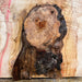 Double Diamond | LiveEdge Norway Maple | Norway Maple | Hamilton Lee Supply