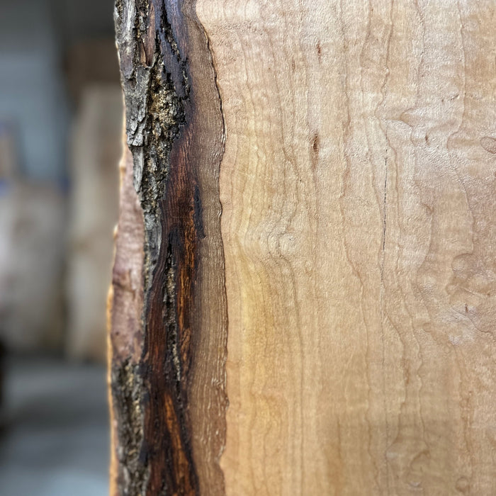 Double Diamond | LiveEdge Norway Maple | Norway Maple | Hamilton Lee Supply