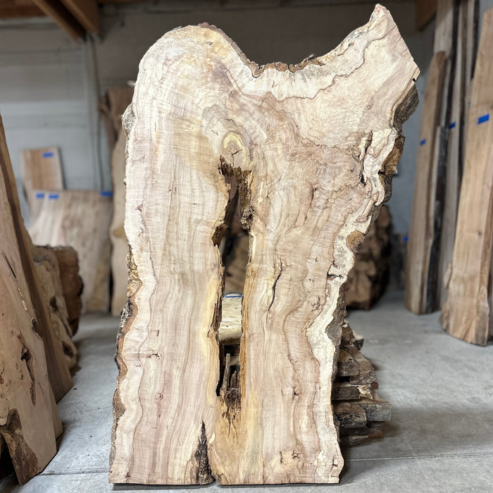 Double Diamond | LiveEdge Norway Maple | Norway Maple | Hamilton Lee Supply